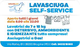 2016 Lavasciuga NaturalWash