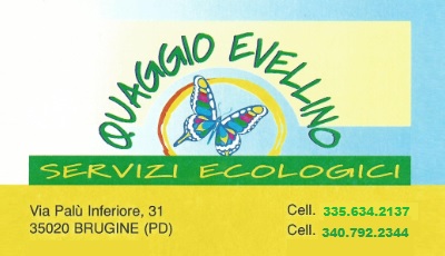 Quaggio Evelino 2016