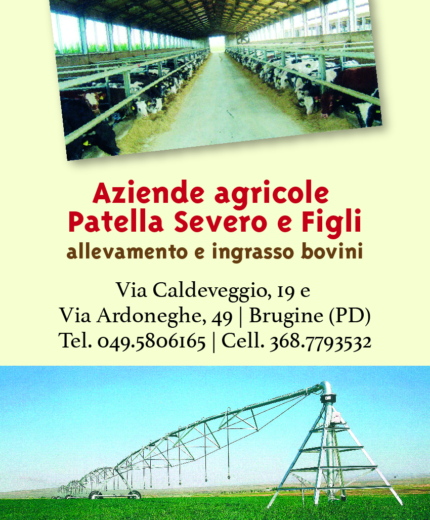 2016 Az Agricola Patella