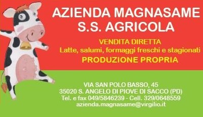 Magnasame 2016